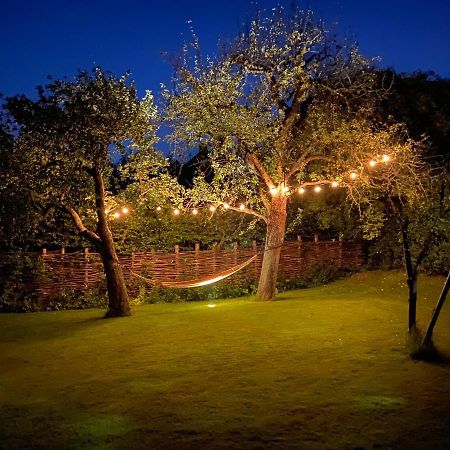 Zwaluwe B&B De Lage Zwaluw מראה חיצוני תמונה