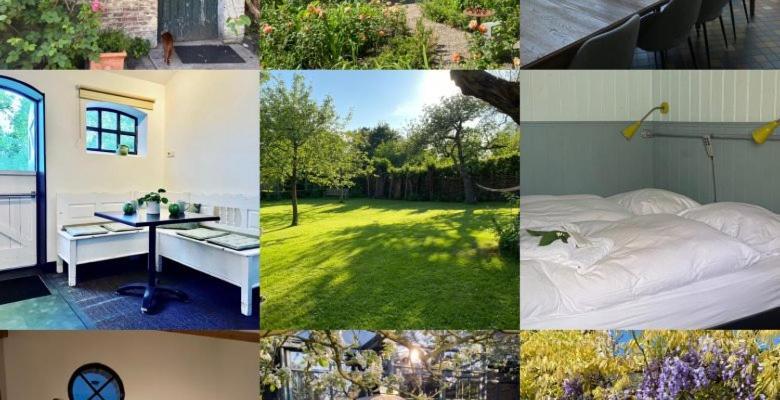 Zwaluwe B&B De Lage Zwaluw מראה חיצוני תמונה